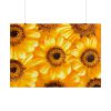 101875-378.jpg Yellow Daisies Poster