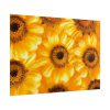 101875-379.jpg Yellow Daisies Poster