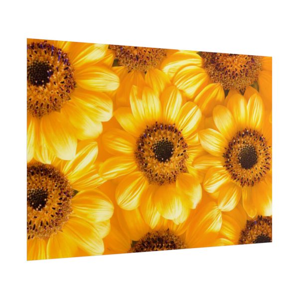 101875-379.jpg Yellow Daisies Poster