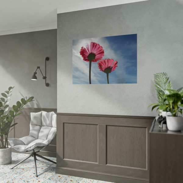 101875-386.jpg Pink Daisy with Blue Sky Poster