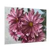 101875-394.jpg Pink-White Daisies Poster