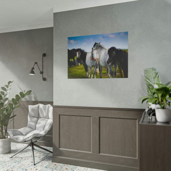 101875-401.jpg A Herd of Grey and White Horses Poster
