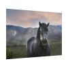 101875-404.jpg Gray Horse Poster