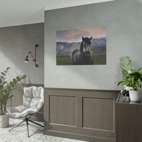 101875-406.jpg Gray Horse Poster