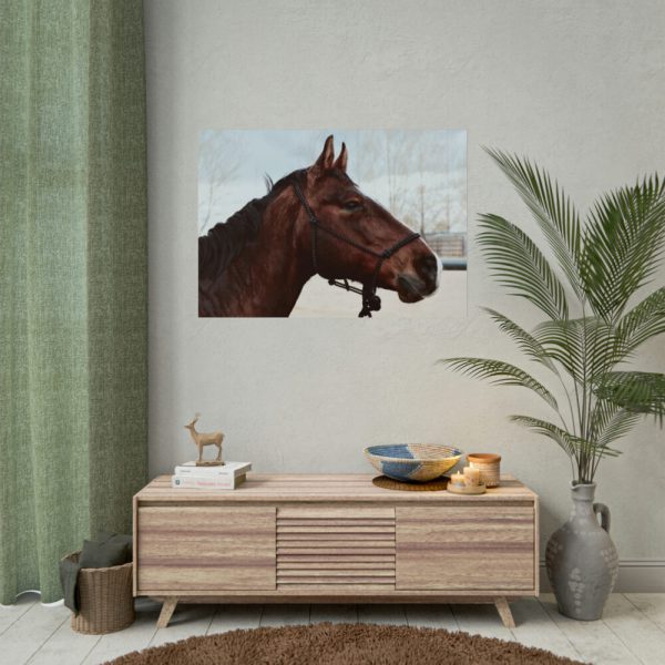 101875-410.jpg The Side of the Head of a Brown Horse Poster