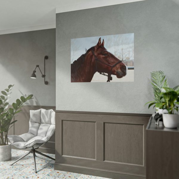 101875-411.jpg The Side of the Head of a Brown Horse Poster