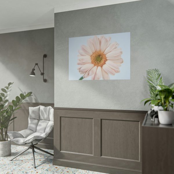 Closeup Daisy Poster