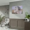 A Close-up of a Gray Horse Poster