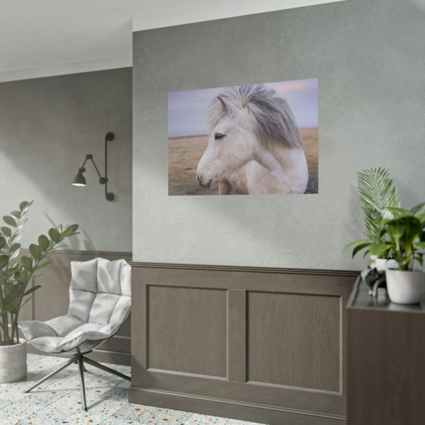 A Close-up of a Gray Horse Poster