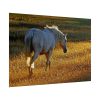 101875-424.jpg White Horses Poster
