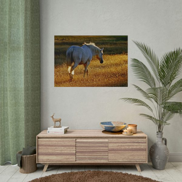 101875-425.jpg White Horses Poster