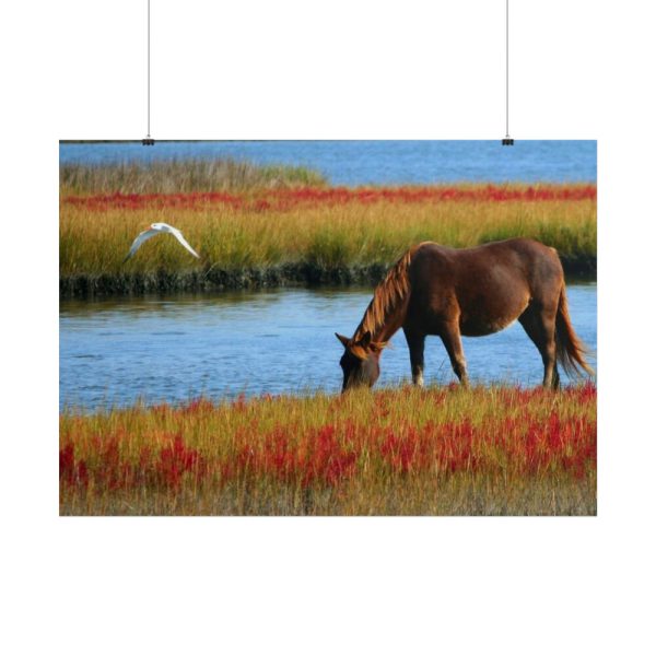 101875-428.jpg Horse Savanna Poster