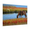 101875-429.jpg Horse Savanna Poster