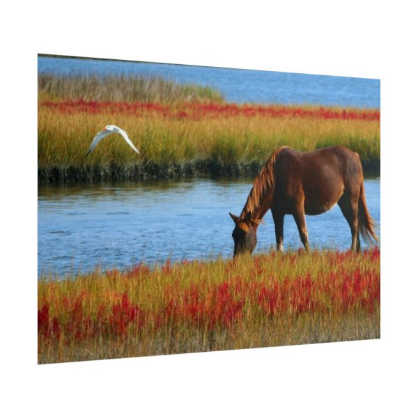 101875-429.jpg Horse Savanna Poster
