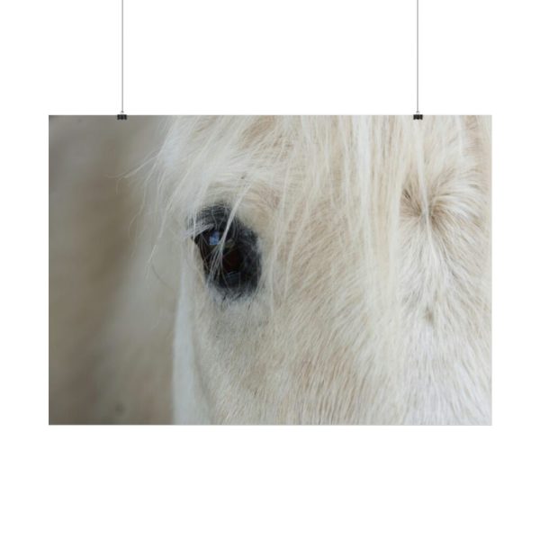 101875-433.jpg Half of a White Horse Face Poster
