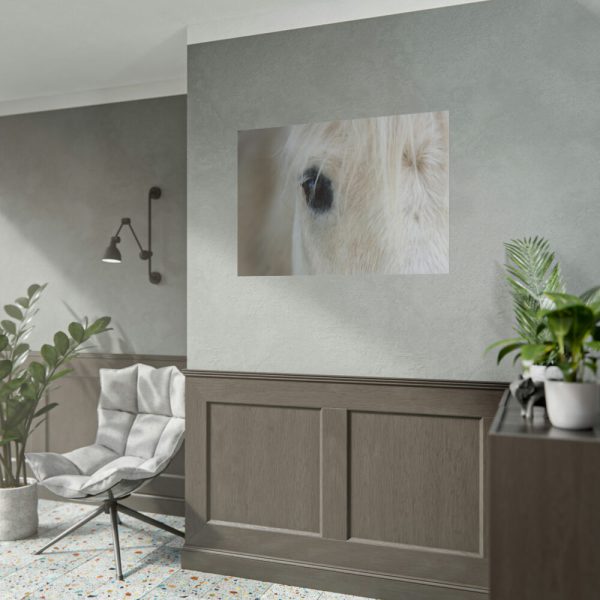 101875-436.jpg Half of a White Horse Face Poster
