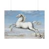 White horse Painting by Joris Hoefnagel Poster