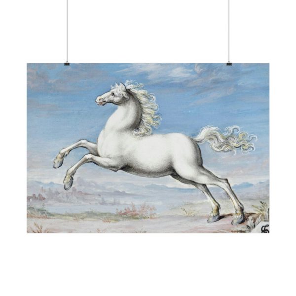 White horse Painting by Joris Hoefnagel Poster