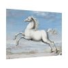 White horse Painting by Joris Hoefnagel Poster