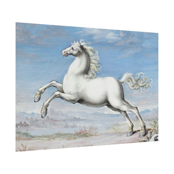 White horse Painting by Joris Hoefnagel Poster