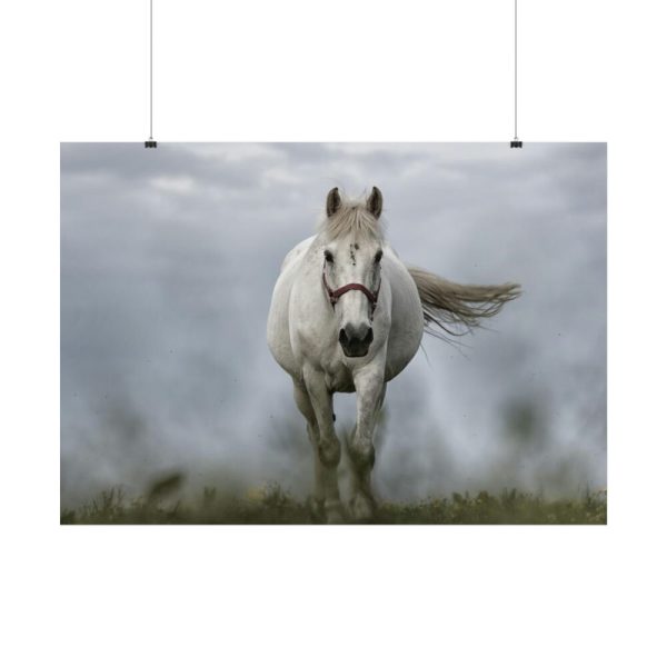 101875-443.jpg White Horse Galloping Poster