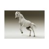 101875-447.jpg White Horse Poster