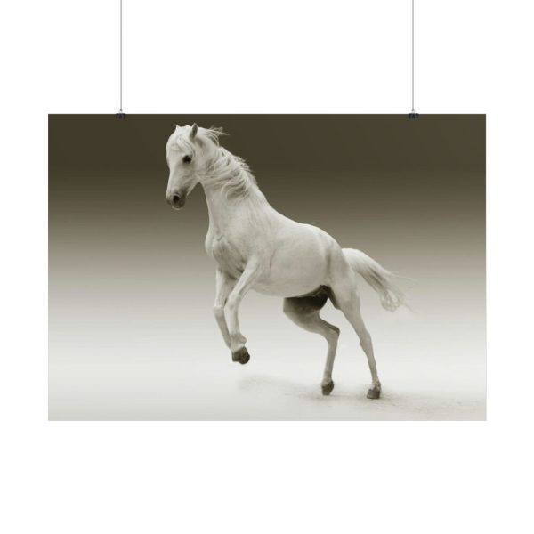 101875-448.jpg White Horse Poster