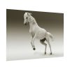 101875-449.jpg White Horse Poster