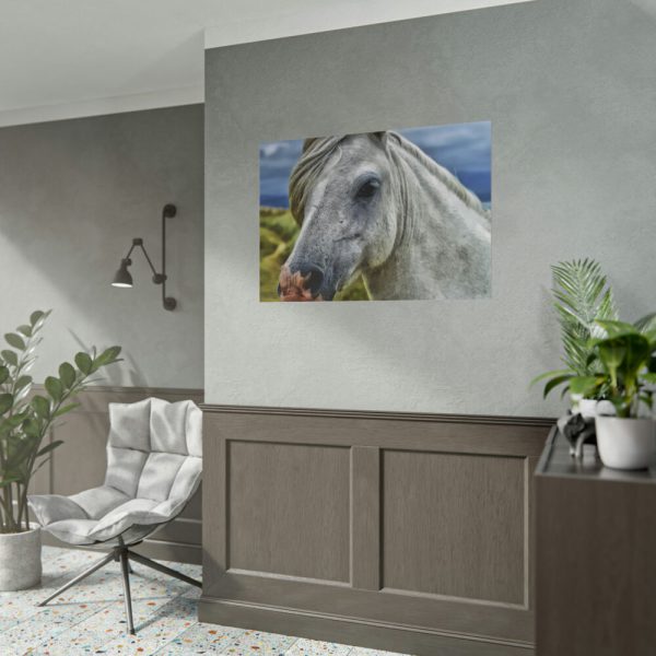101875-456.jpg Closeup Shot of a White Horse Poster