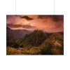 101875-458.jpg Nature Poster