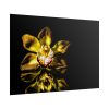Bloom Orchid Poster