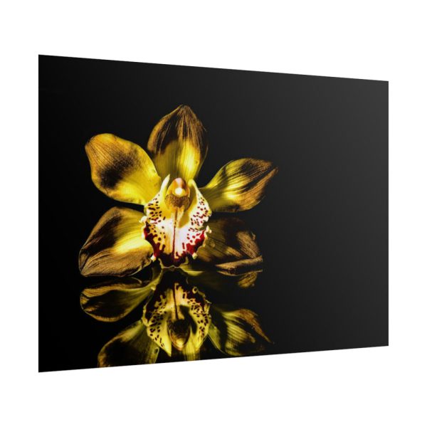 Bloom Orchid Poster