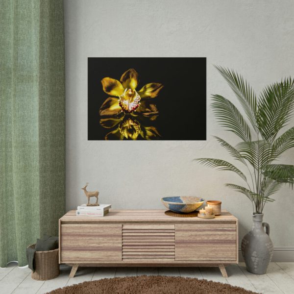 Bloom Orchid Poster