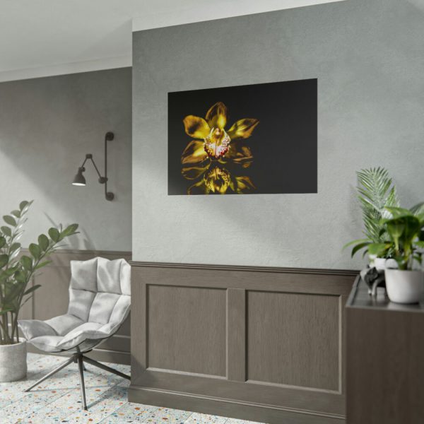 Bloom Orchid Poster