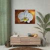 Blossom Orchid Flower Poster