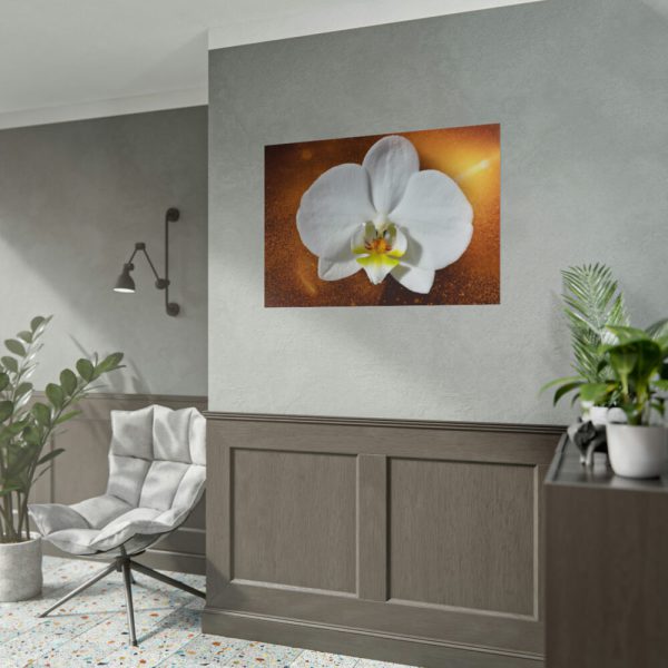 Blossom Orchid Flower Poster