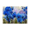 Blue Orchids Poster