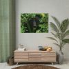 101875-505.jpg Black Bear in the Bush Poster