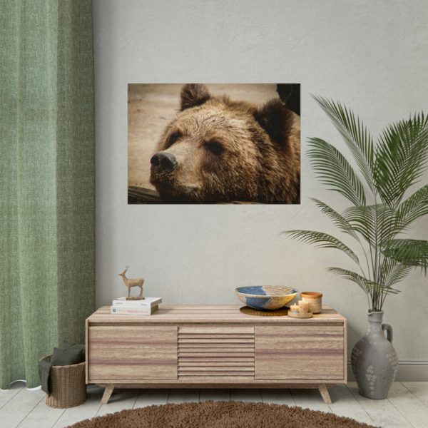 101875-530.jpg Brown Bear Snout Poster