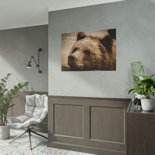101875-531.jpg Brown Bear Snout Poster