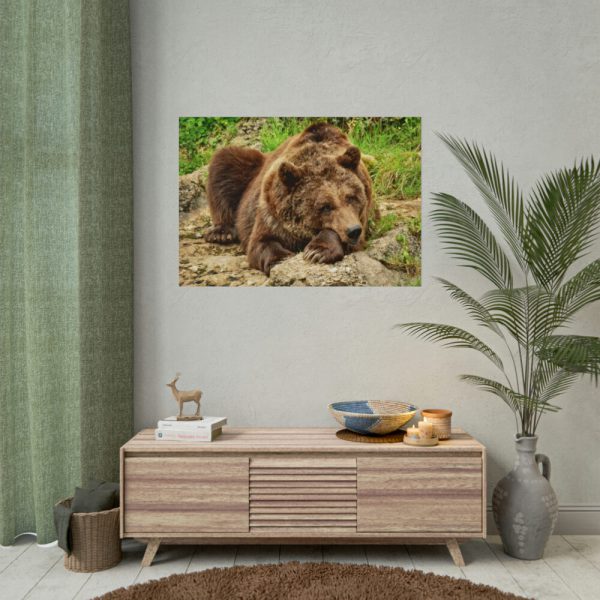 101875-540.jpg Brown Bear Wild Poster