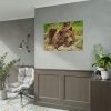 101875-541.jpg Brown Bear Wild Poster