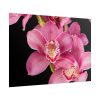 101875-544.jpg Cymbidium Hybrid Orchid Poster