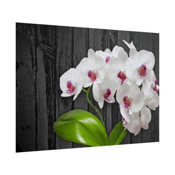 101875-554.jpg White Orchid Plant Poster