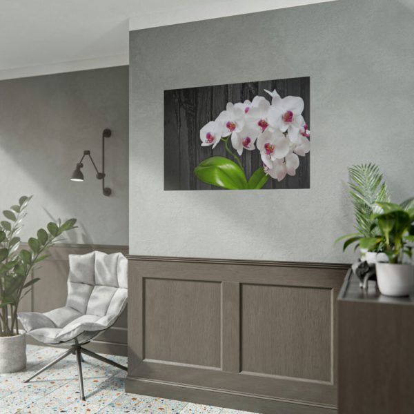 101875-556.jpg White Orchid Plant Poster