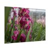 101875-559.jpg Orchid Cash Plant Poster