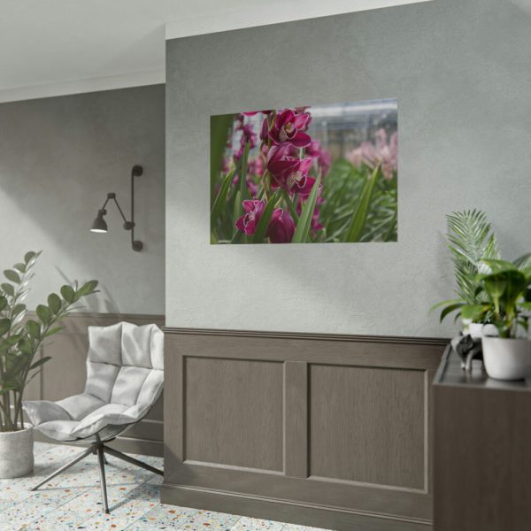101875-561.jpg Orchid Cash Plant Poster