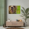 101875-565.jpg European Brown Bear Poster