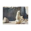 White Polar Bear Zoo Poster