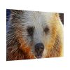 101875-594.jpg Syrian Bear Face Poster